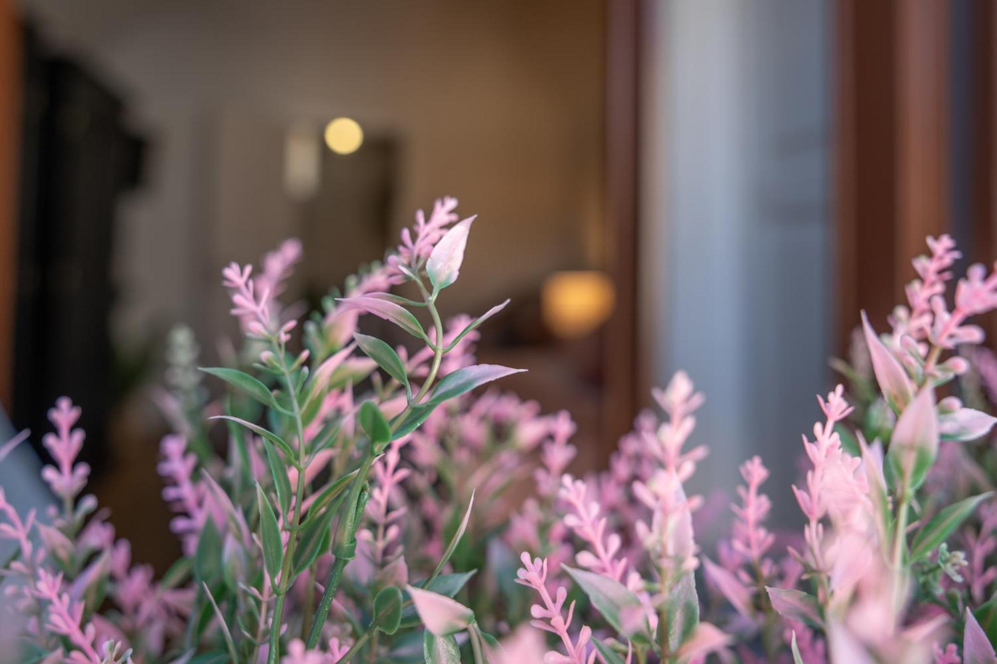 Mirone - Suite Apartments Catania Centro Eksteriør bilde